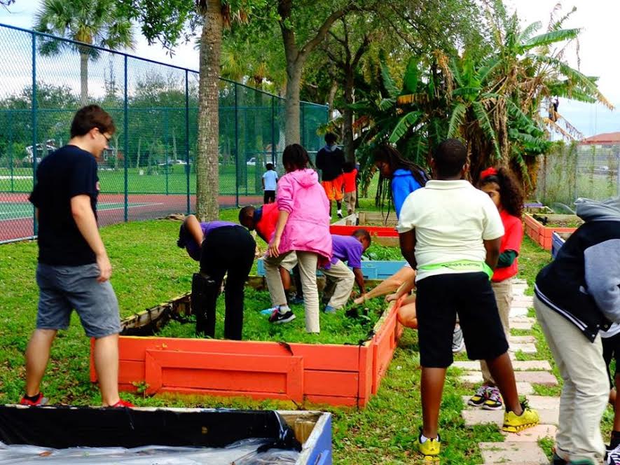 Planting Trees and Growing Solutions. It's Memory Trees. The Story of